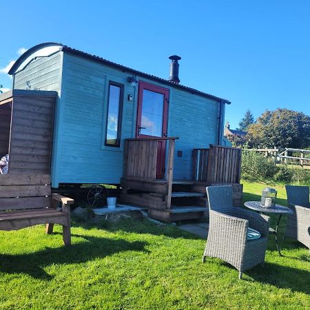 The Shepherds Hut At Forestview Farm Greenisland Экстерьер фото