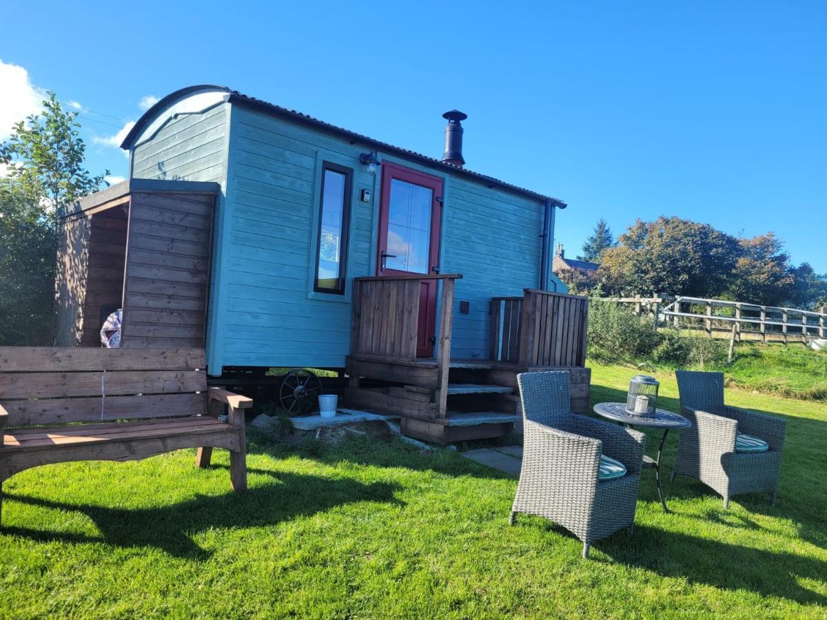 The Shepherds Hut At Forestview Farm Greenisland Экстерьер фото
